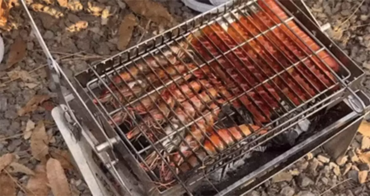Rotating and folding barbecue grill triggers the Korean wave camping craze