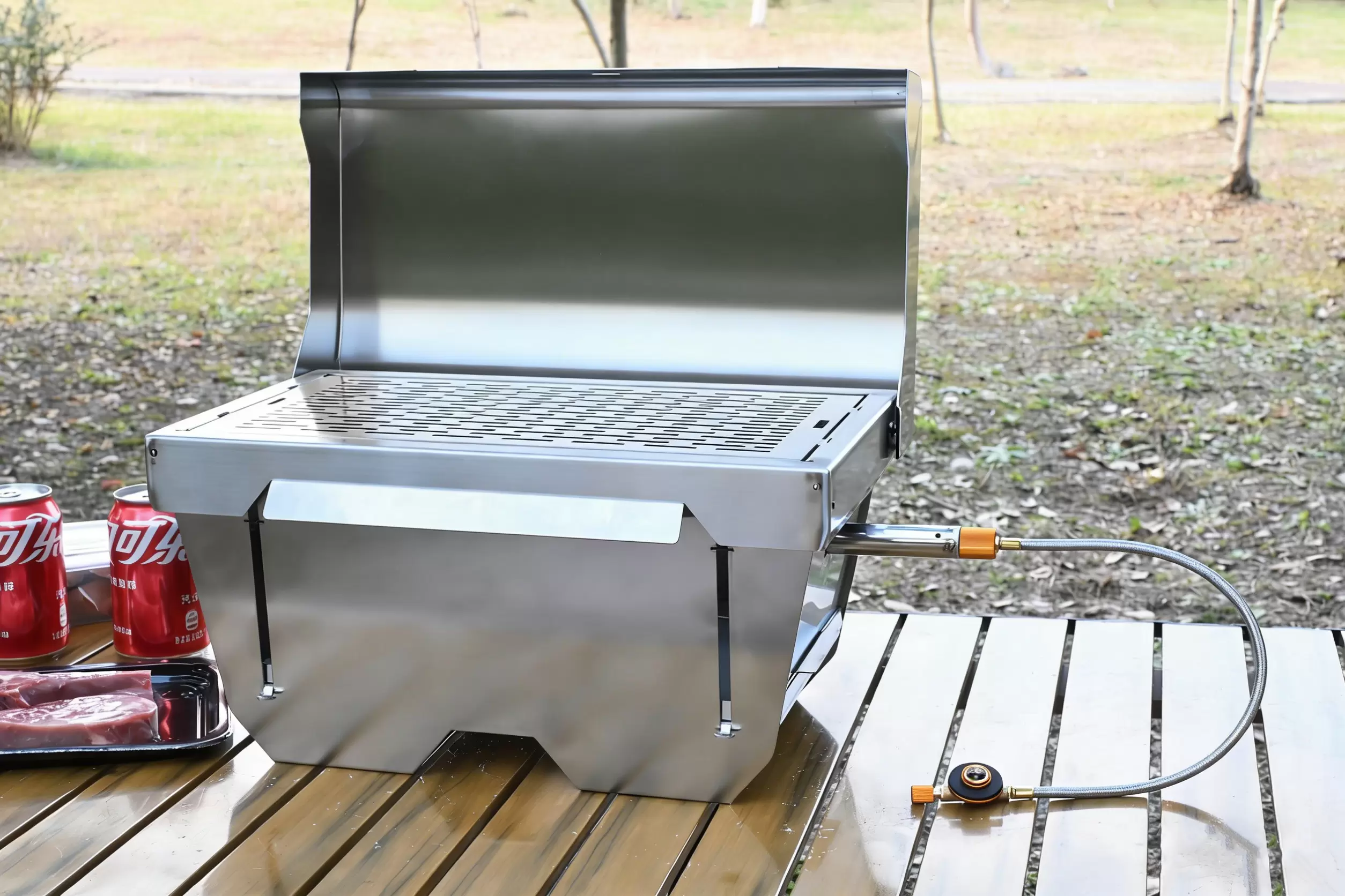 Foldable Portable Gas Grill